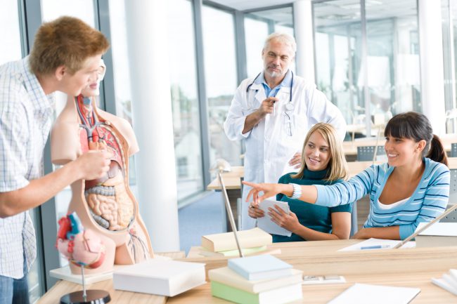 University - medical students with professor and human anatomical model in classroom